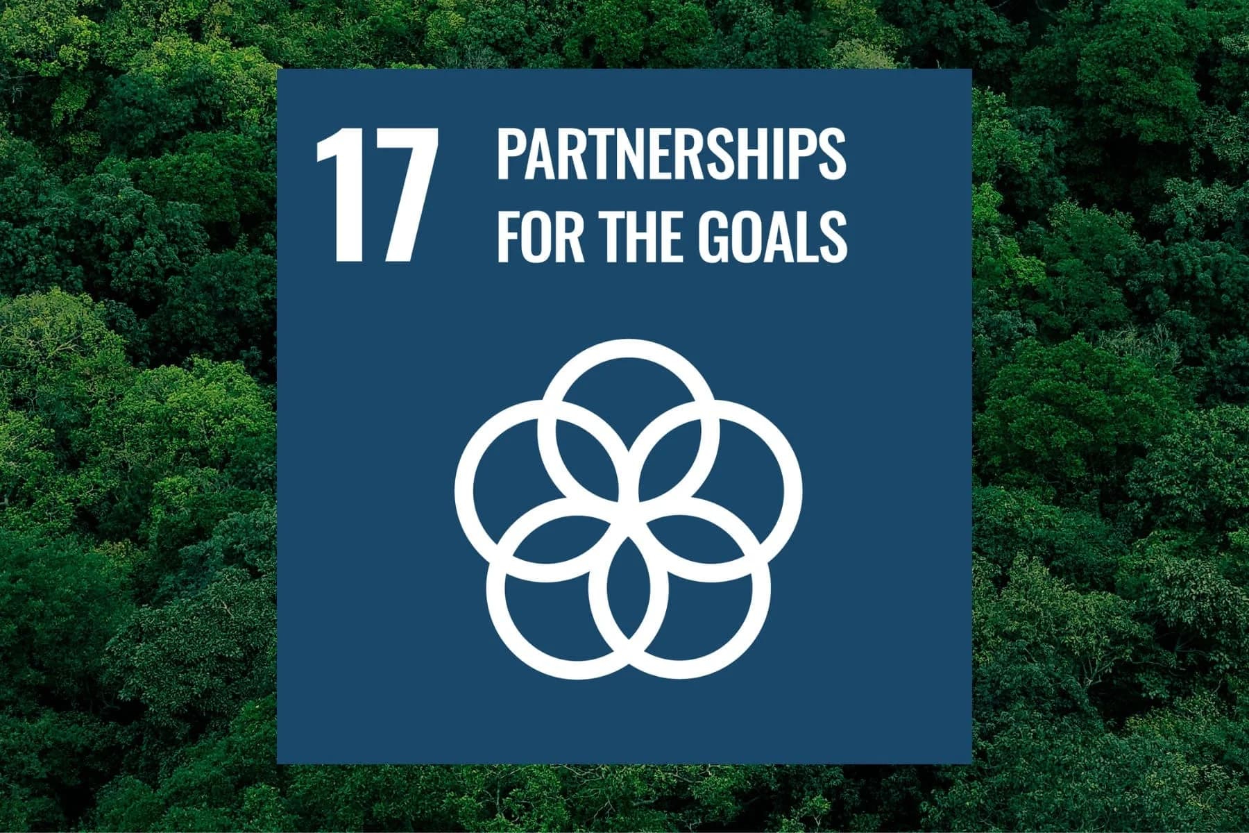 UN Global Goal 17: Partnerships for the goals